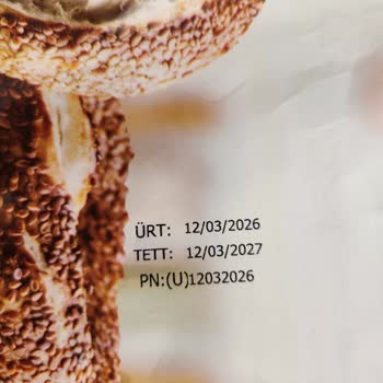 Sinangil Çeşidim Simitte Plastik Parça