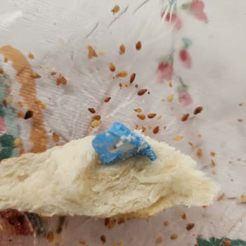 Sinangil Çeşidim Simitte Plastik Parça