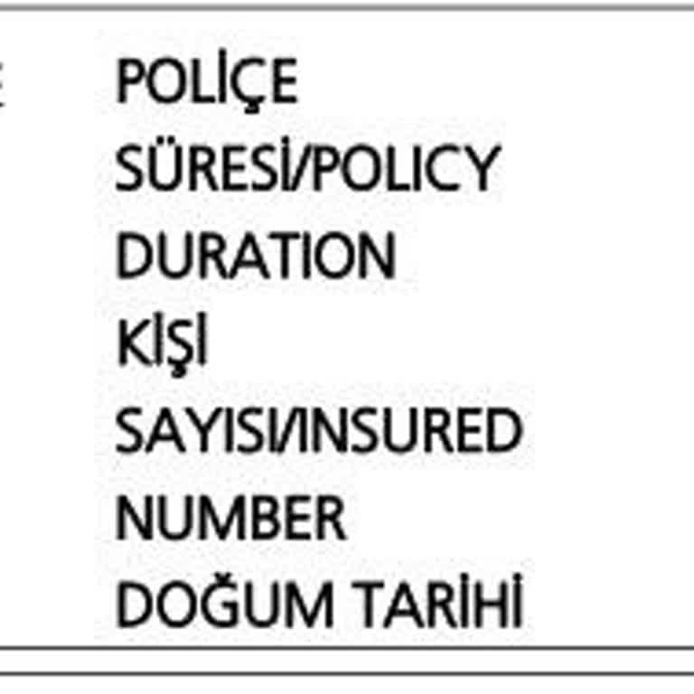 Poliçedeki Doğum Tarihi Hatası İçin Acil Düzeltme Talebi