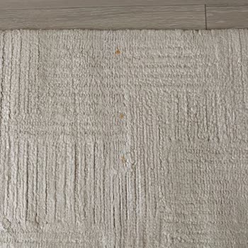 Pırıltı Halı Yıkama Fabrikası | Çankaya Halım Pas Lekesi İçinde Ve Düzgün Yıkanmamış Şekilde Geldi