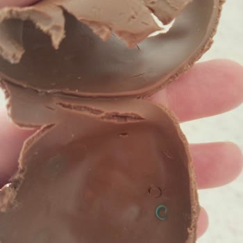 Yumurtada Plastik Parça Bulunması Çocuk Sağlığını Tehlikeye Attı