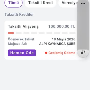 Alpi Diş Kaynarca’nın İptal Belgesini Geciktirmesi Banka Sicilime Zarar Verdi