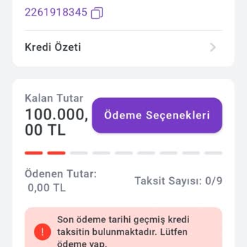 Alpi Diş Kaynarca’nın İptal Belgesini Geciktirmesi Banka Sicilime Zarar Verdi