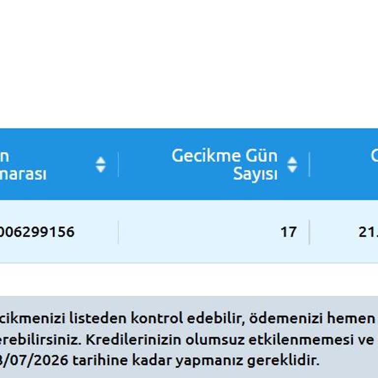 Kredi Yapılandırma Talebimin Red Edilmesi Ve Saygısız Müşteri Temsilcisi Üzerine Şikayet
