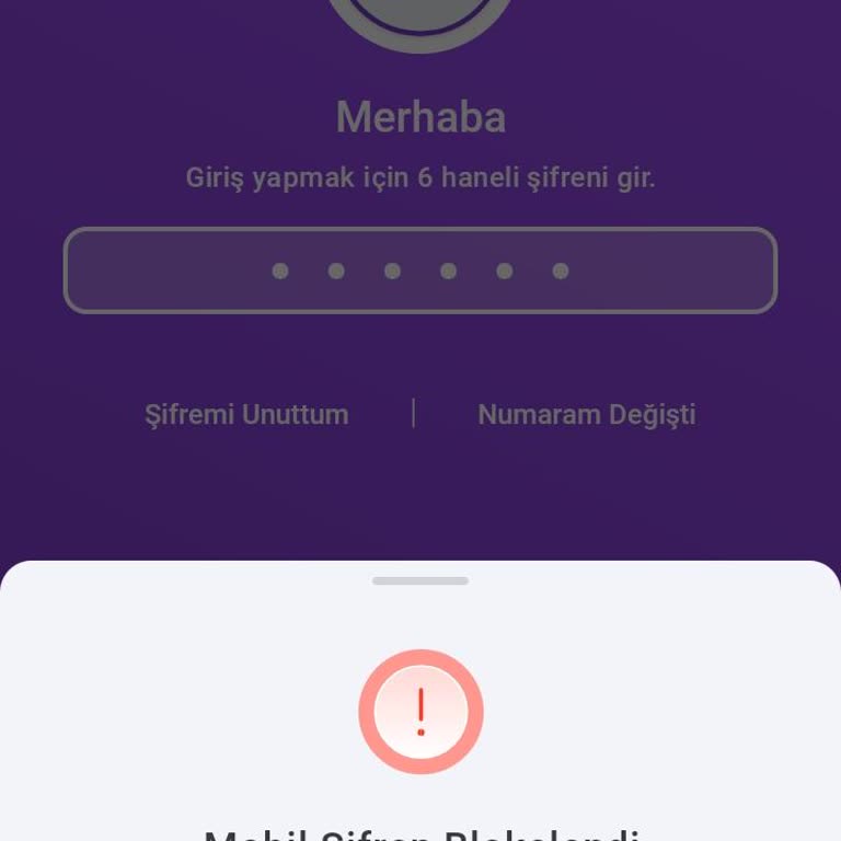 Hesap Blokajı Ve E-posta Değişikliği Talebi