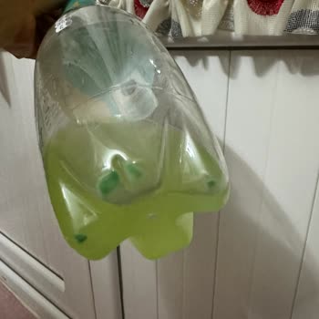 Residuos Verdes en mi Botella de Schweppes Bitter Limón y Riesgo de Salud