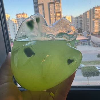 Moho y Sustancias Verdes en la Botella de Schweppes Lemon, Pido Cambio
