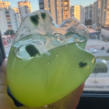 Moho y Sustancias Verdes en la Botella de Schweppes Lemon, Pido Cambio