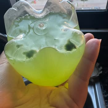 Moho y Sustancias Verdes en la Botella de Schweppes Lemon, Pido Cambio