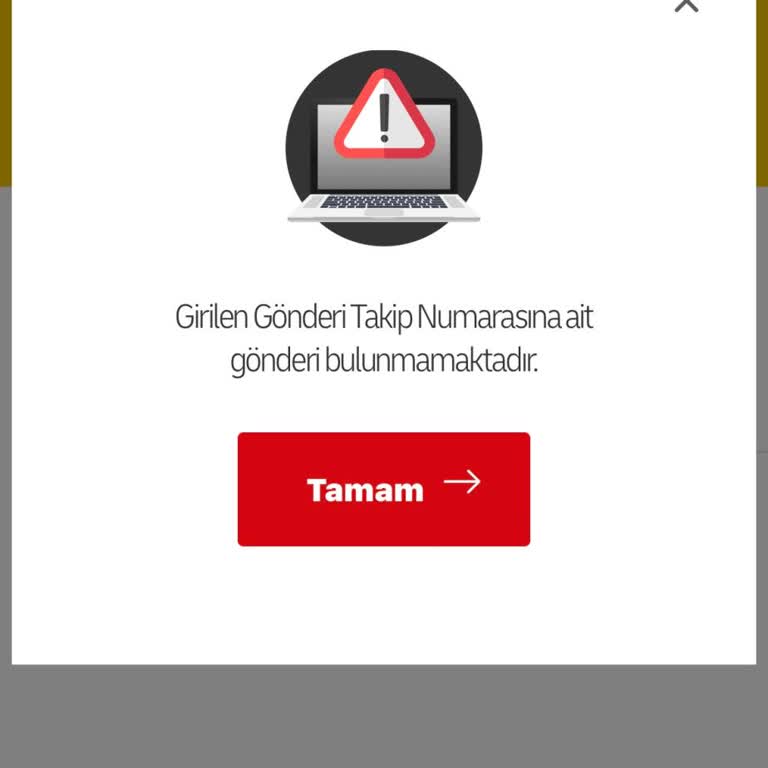 DHL Takip Numarası Bulunamadı, Kargo Acilen Teslim Edilsin