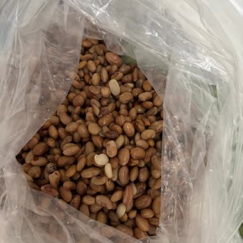 Bozuk Barbunya Ve Bezelye Teslimatı Sonrası İade Talebi