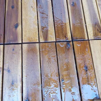 Yağ Dökülmesine Müdahale Etmeyen Yönetim Ve Bahçe Sağlığı Tehlikesi