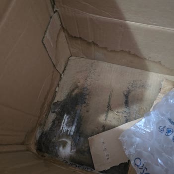 Hepsiburada Bozulmuş Pınar Protein Sütte Acı Tat Ve Patlamış Kutulara Dair Şikayet