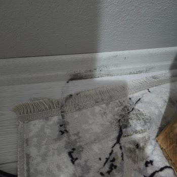Hepsiburada Bozulmuş Pınar Protein Sütte Acı Tat Ve Patlamış Kutulara Dair Şikayet