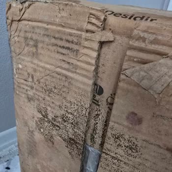 Hepsiburada Bozulmuş Pınar Protein Sütte Acı Tat Ve Patlamış Kutulara Dair Şikayet