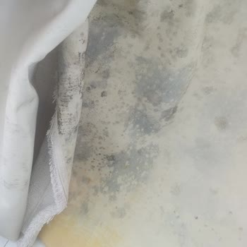 Küflü Halılar Teslim Edildi, Firma Sorumluluğu Reddetti Ve Ek Ücret Talep Ediyor