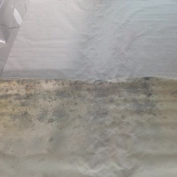 Küflü Halılar Teslim Edildi, Firma Sorumluluğu Reddetti Ve Ek Ücret Talep Ediyor