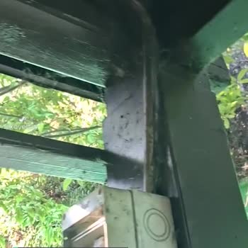 Bağcılar Belediyesi Kestane Parkı Çardak Temizliği Ve Örümcek Ağları