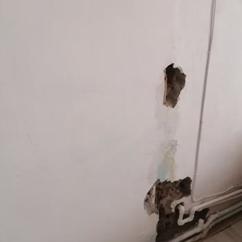 Aksigorta Temiz Su Borularını Kırdı Ve Ödeme Ret Etti