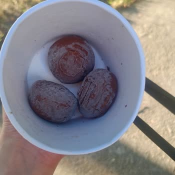 Superfresh Browni Topları'nın Kötü Tadına Dair Şikayet