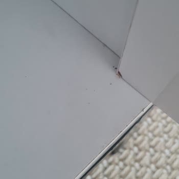 Garaj Home’dan Gelen Kırık Dolap Ve Cevapsız Müşteri Hizmetleri