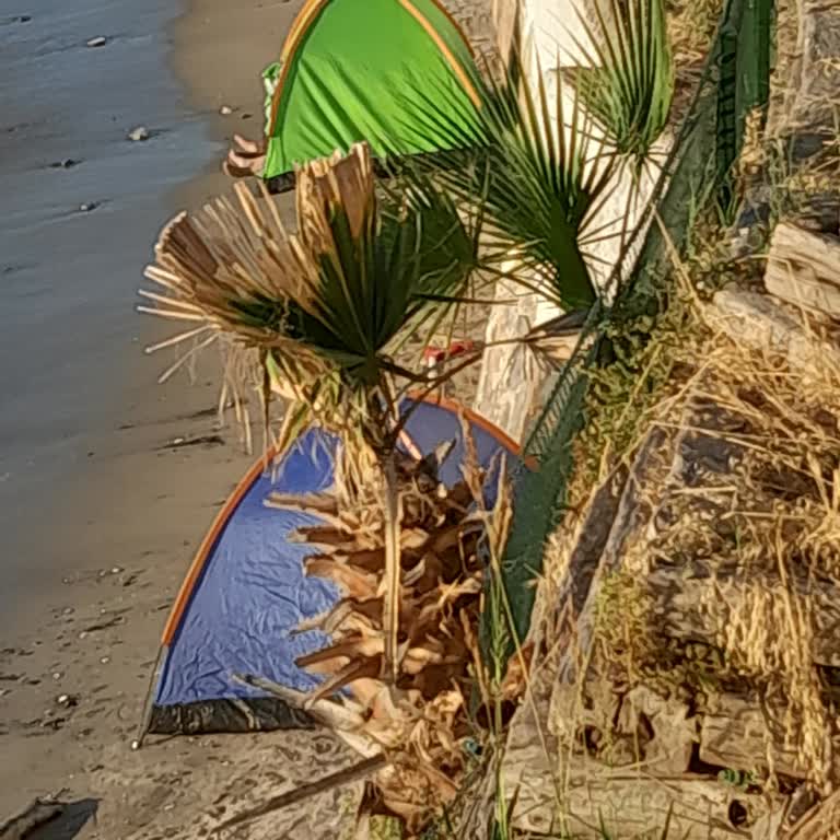 Kuşadası Belediyesi Kadınlar Denizi Plajında Çadır Kampı Sorunu