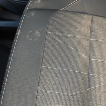 Ford Araç İçinde Kedi İdrarı Ve Hijyen Skandalı