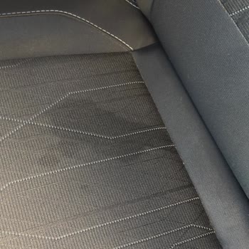 Ford Araç İçinde Kedi İdrarı Ve Hijyen Skandalı