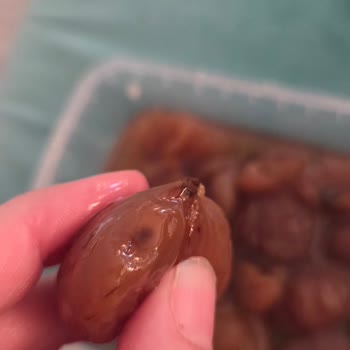 Kafkas Kestane Şekeri Kutularının Kırık, Çürük Ve Eksik Gelmesi