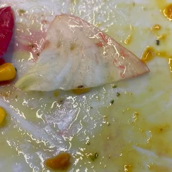 Green Salads Metroport Şubesinde Yemeğe Böcek Kaçması ve Personelin İlgisiz Tutumu