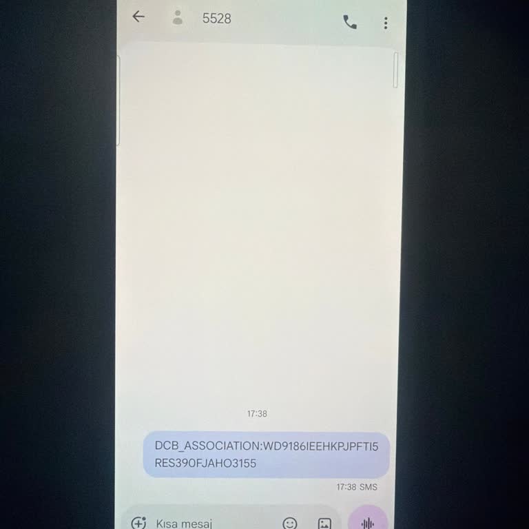 İzinsiz 5528 Numaralı Mesaj Ve Güvenlik Kontrol Talebi