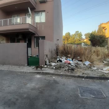 Buca Adatepe Mahallesi 3/7 Sokakta Çöp Konteyneri Eksikliği Ve Koku Sorunu