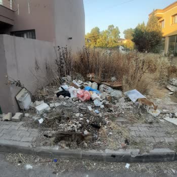 Buca Adatepe Mahallesi 3/7 Sokakta Çöp Konteyneri Eksikliği Ve Koku Sorunu