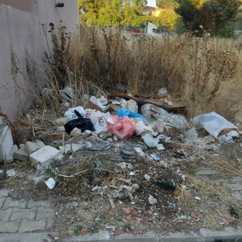 Buca Adatepe Mahallesi 3/7 Sokakta Çöp Konteyneri Eksikliği Ve Koku Sorunu