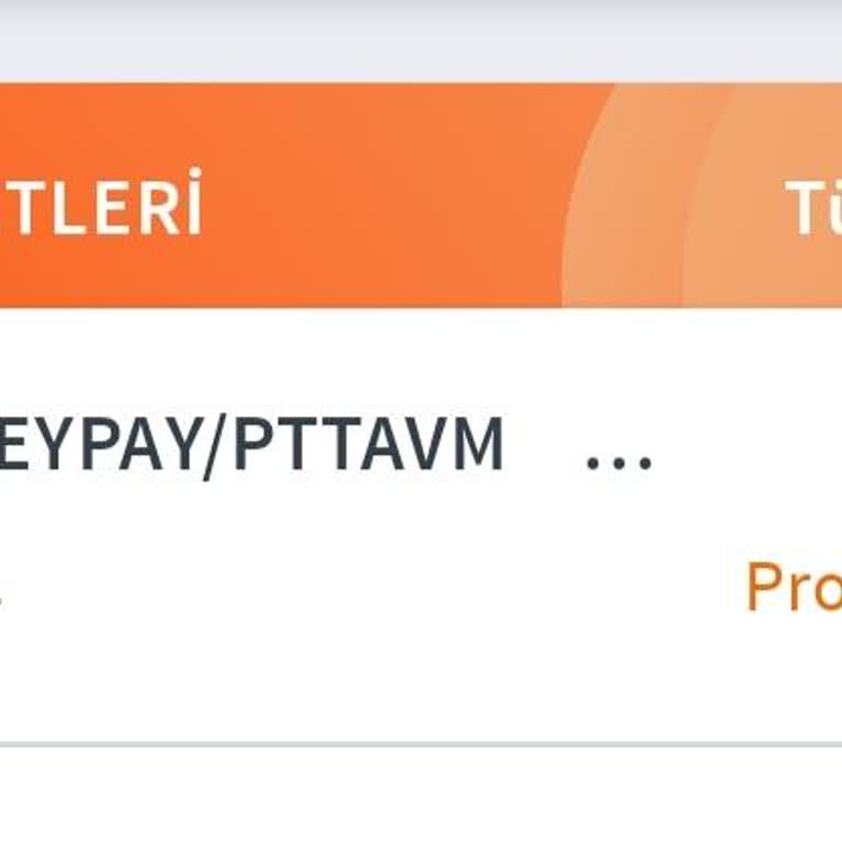 PTT HGS Mobil Uygulamasında 200 TL Ücretli Sorgulama Sonuç Vermedi Ve İade Talebi