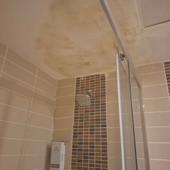 Otel Banyosunda Rutubet Ve Ortak Alanlarda Hijyen Sorunları