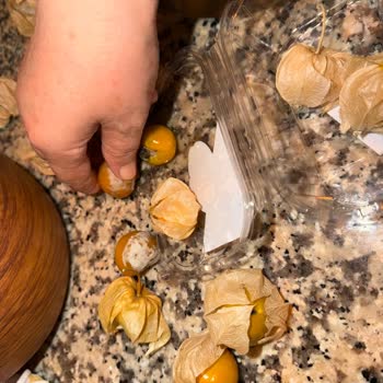 Bozulmuş Altın Çilek İçin Ücret İadesi Ve Kontrol Talebi