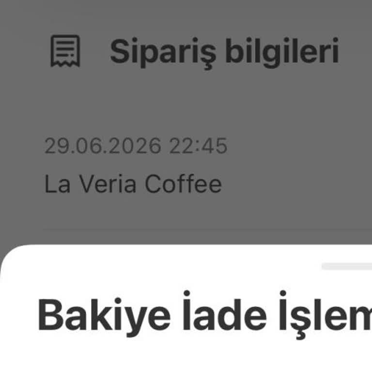 İade Onaysız Yemeksepeti Cüzdanına Aktarıldı, Kartıma Geri Ödeme Talebi