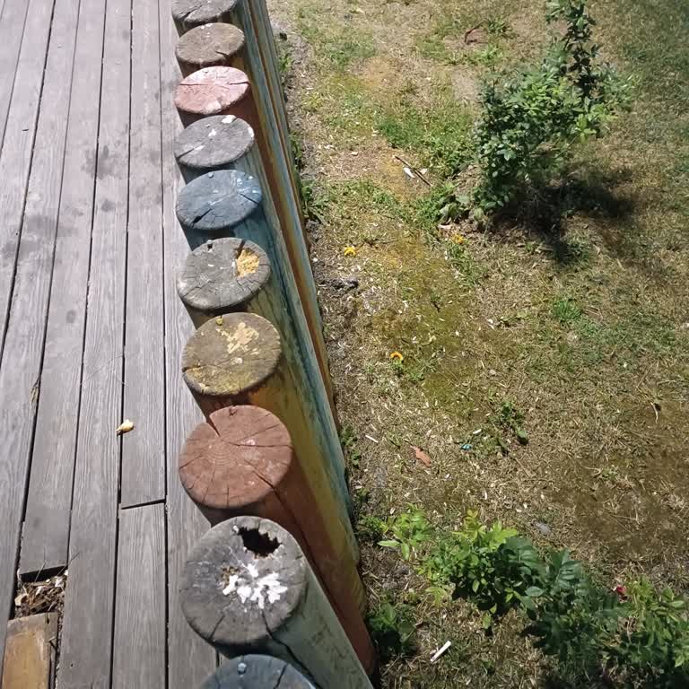 Küçükçekmece Seyir Parkı’nda Akşamları Şiddetli Tuvalet Kokusu Rahatsız Ediyor