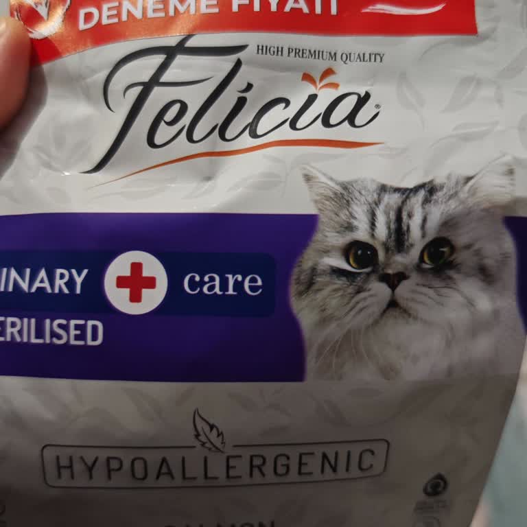 Ace Pet Club Yeni Formül Kedileri Reddetti, Eski Lezzete Dönülmesini İstiyorum