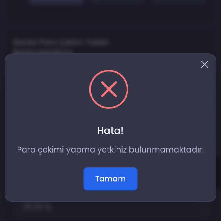 İtemsatis Ödenmeyen 1.800 TL Ve Hesap Bakiyesi Engeli!