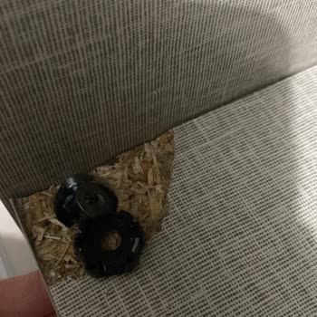 Dolap Kapak Vida Sorunu Ve Kırılan Raf İçin Garanti Kapsamında Onarım Talebi
