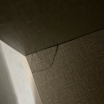 Dolap Kapak Vida Sorunu Ve Kırılan Raf İçin Garanti Kapsamında Onarım Talebi