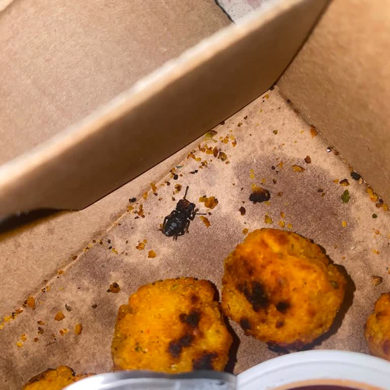 Pizza’da Kızarmış Böcek Ve Yemeksepeti’nin Umursamaz Cevabı