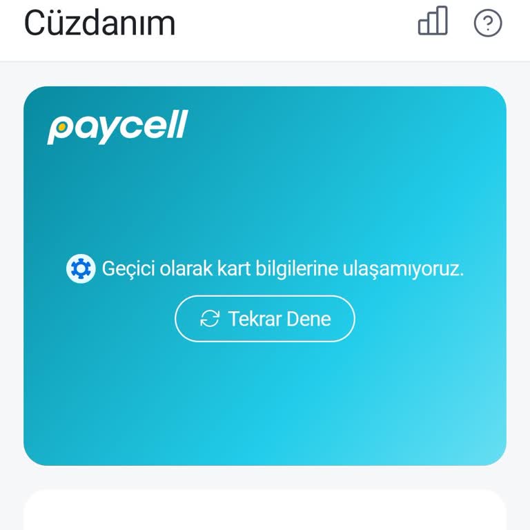 Paycell Kartımda Bakiye Ve Kart Bilgileri Görüntülenemiyor