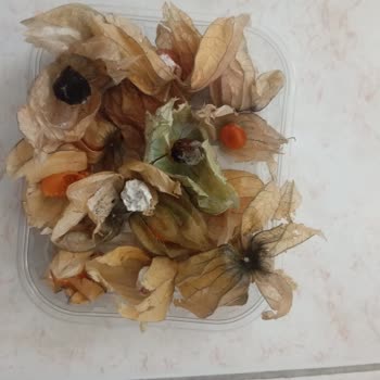 Küflü Ve Ayıplı Mal Satışı Hijyen Ve Sağlık Sorunları
