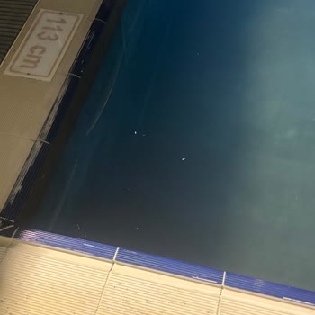Hijyen Sorunları Ve Hamam Böcekleri Nedeniyle Rezervasyon İptali Ve İade Talebi