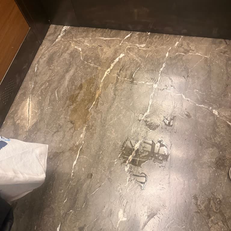 Siparişimde İçecekler Dökülmüş Ve Soslar Eksik, Yemeksepeti Şikayetimi Reddetti