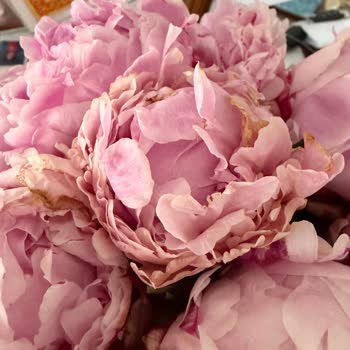 Lilyana Flowers’ta Görüntüyle Uyuşmayan Çürük Buket Ve İade İhmali