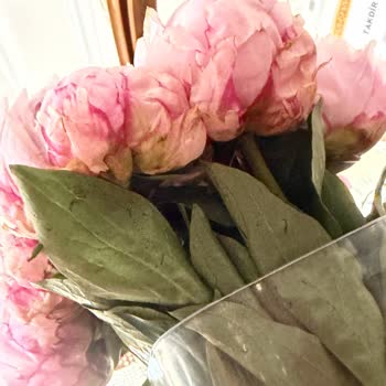 Lilyana Flowers’ta Görüntüyle Uyuşmayan Çürük Buket Ve İade İhmali